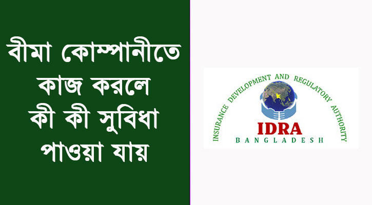 বীমা এজেন্টের বেতন ভাতাদি, একজন বীমা প্রতিনিধির মাসিক আয় কত?