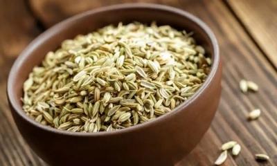 মৌরির যে গুণাগুণ জেনে আপনি চমকে যাবেন