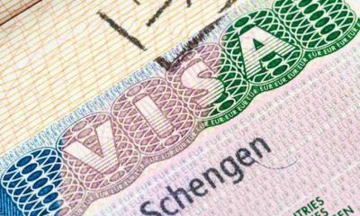 শেনজেন ভিসা নিয়ে যা জানাল ঢাকাস্থ সুইডিশ দূতাবাস