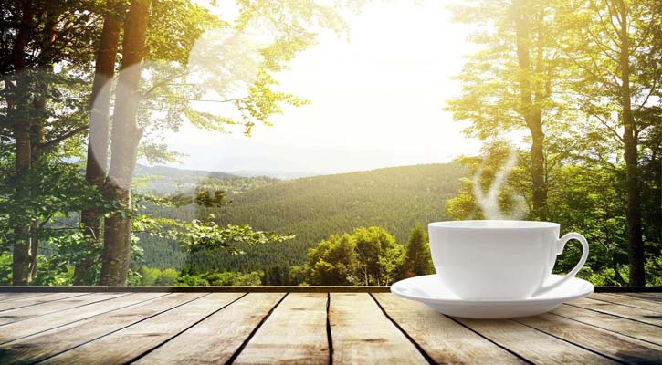 সকালের শুভেচ্ছা জানানোর সেরা স্ট্যাটাস : মন ছুঁয়ে যাক নতুন দিনের শুরুতে!