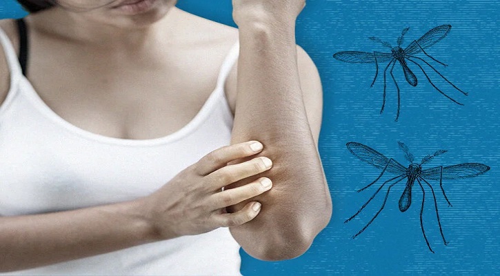 যেসব রঙের পোশাক পরলে মশা কম কামড়ায়